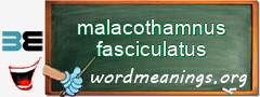 WordMeaning blackboard for malacothamnus fasciculatus